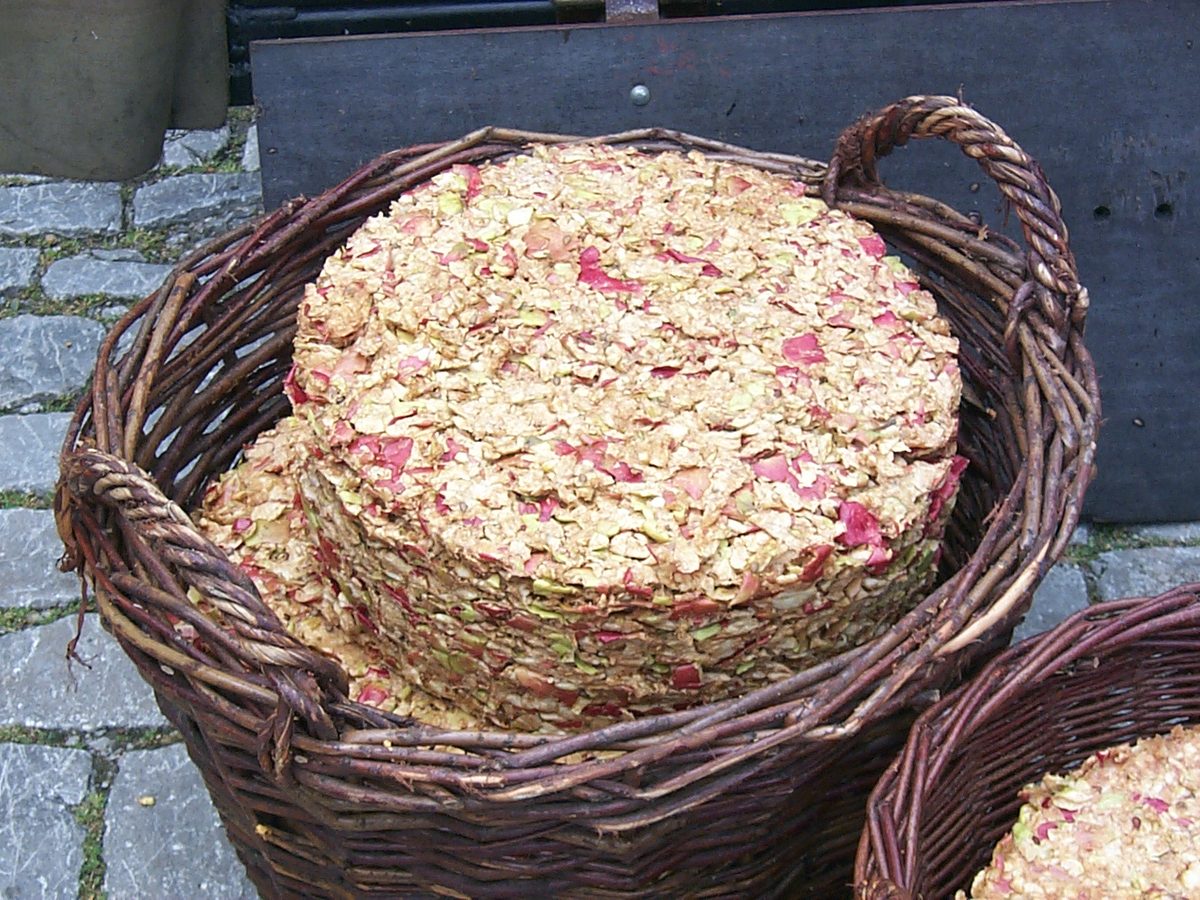Макуха соняшникова